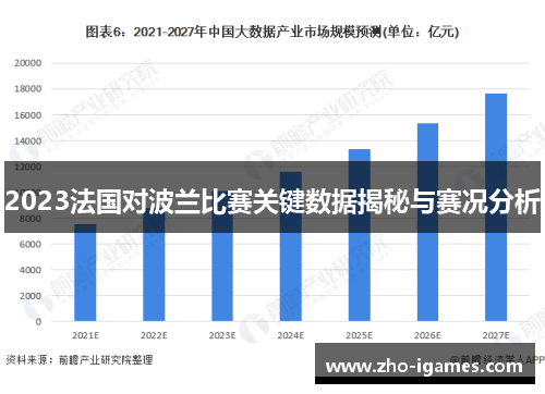 2023法国对波兰比赛关键数据揭秘与赛况分析