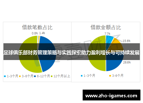 足球俱乐部财务管理策略与实践探索助力盈利增长与可持续发展